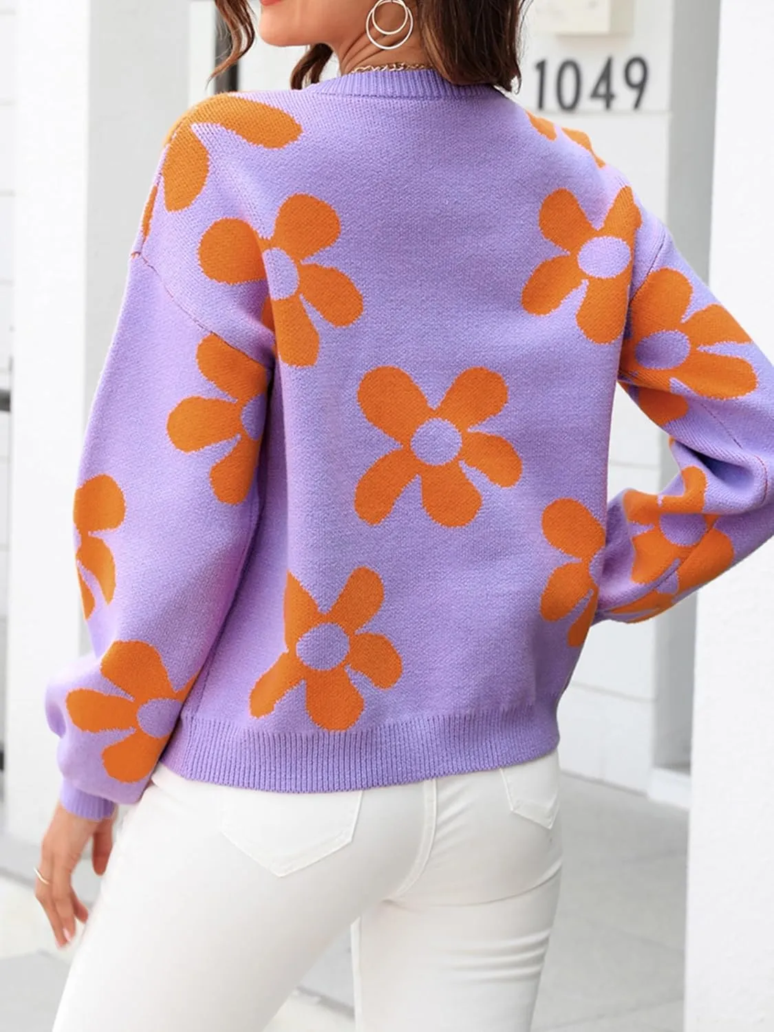 ECOWISH Women's Sweater 2025 Fall - Long Sleeve Crewneck Tops Knit Oversized Pullover Casual Print Jumper