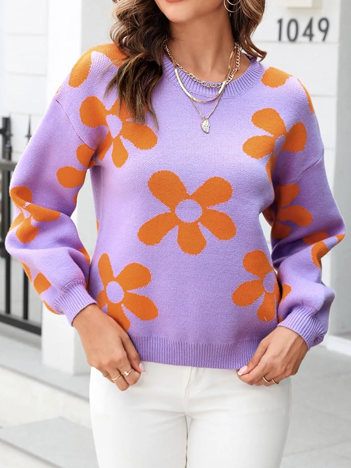 ECOWISH Women's Sweater 2025 Fall - Long Sleeve Crewneck Tops Knit Oversized Pullover Casual Print Jumper